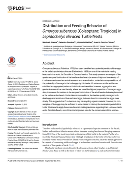 Distribution and Feeding Behavior of Omorgus Suberosus (Coleoptera: Trogidae) in Lepidochelys Olivacea Turtle Nests