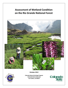 Assessment of Wetland Condition on the Rio Grande National Forest