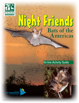 Night Friendsfriends Bats of the Americas