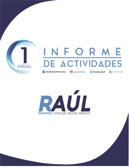 Informe Anual De Actividades