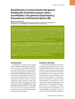 Contribución Al Conocimiento Del Género Psathyrella (Incluidos Taxones Ahora Transferidos a Los Géneros Coprinopsis Y Parasola) En La Península Ibérica (II)
