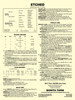 ETCHED Chestnut Horse, 2005; 16.3 Hands DIPLOMAT LADY: 4 Wins, $552,784, Hollywood Starlet S-G1, Beaumont­ S-G2, Etc