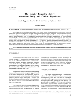 The Inferior Epigastric Artery: Anatomical Study and Clinical Significance