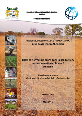 Rôles Et Normes De Genre Dans La Production, La Consommation Et La Santé Au Bénin