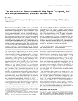 The Metabotropic Receptor Mglur6 May Signal Through Go, but Not Phosphodiesterase, in Retinal Bipolar Cells