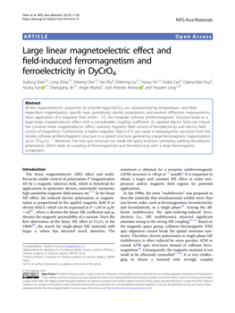 Large Linear Magnetoelectric Effect and Field-Induced Ferromagnetism