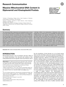 Massive Mitochondrial DNA Content in Diplonemid and Kinetoplastid Protists