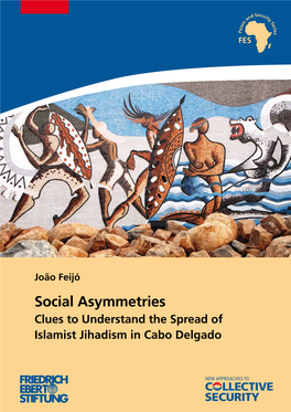 Social Asymmetries Clues to Understand the Spread of Islamist Jihadism in Cabo Delgado