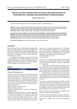 Two Acalyptrate Species New for Science and a New Record for Spain (Diptera: Carnidae, Sphaeroceridae, Trixoscelididae)