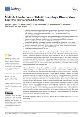 Multiple Introductions of Rabbit Hemorrhagic Disease Virus Lagovirus Europaeus/GI.2 in Africa