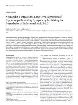 Neuregulin-1 Impairs the Long-Term Depression of Hippocampal Inhibitory Synapses by Facilitating the Degradation of Endocannabinoid 2-AG