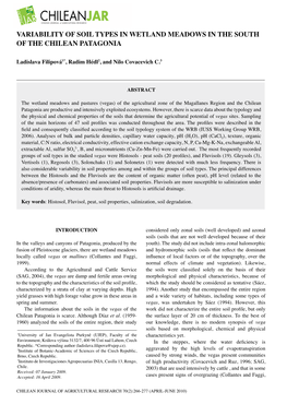 Variability of Soil Types in Wetland Meadows in the South of the Chilean Patagonia