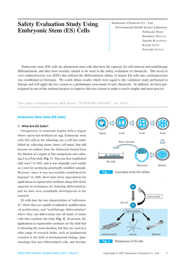 Safety Evaluation Study Using Embryonic Stem (ES) Cells