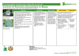 Control of Nicandra Physalodes in Maize