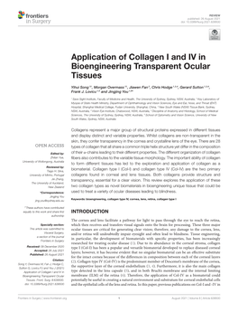 Application of Collagen I and IV in Bioengineering Transparent Ocular Tissues