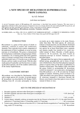 A New Species of Micrantheum (Euphorbiaceae) from Tasmania