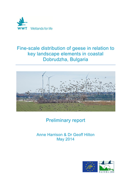 Fine-Scale Distribution of Geese in Relation to Key Landscape Elements in Coastal Dobrudzha, Bulgaria