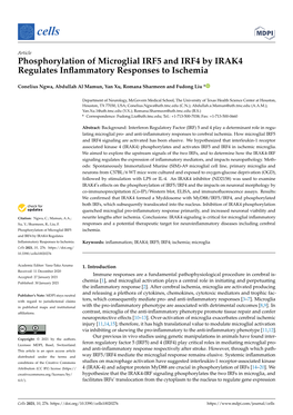 Phosphorylation of Microglial IRF5 and IRF4 by IRAK4 Regulates Inﬂammatory Responses to Ischemia