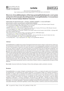 Discovery of an Additional Piece of the Large Gymnophthalmid Puzzle: A