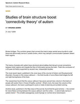 Studies of Brain Structure Boost &#8216;Connectivity Theory&#8217