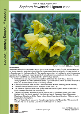 Sophora Howinsula.Lignum-Vitea Or LHI Kowhai.Aug 2017.3.0.A