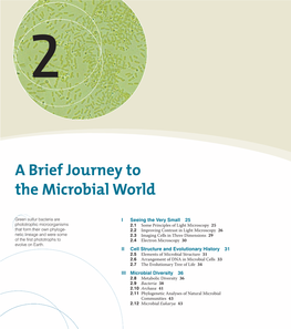 A Brief Journey to the Microbial World