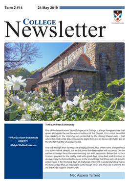 Newslettercollege St Andrew’S College