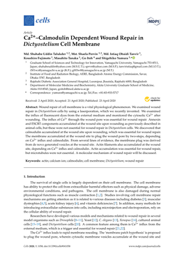 Calmodulin Dependent Wound Repair in Dictyostelium Cell Membrane