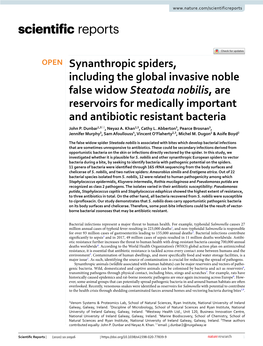 Synanthropic Spiders, Including the Global Invasive Noble False Widow