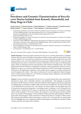 Prevalence and Genomic Characterization of Brucella Canis Strains Isolated from Kennels, Household, and Stray Dogs in Chile