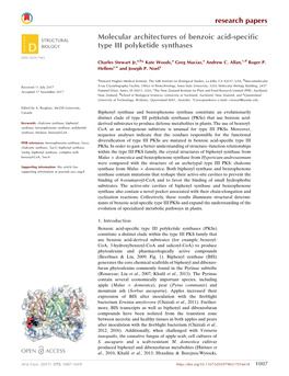 Molecular Architectures of Benzoic Acid-Specific Type III Polyketide Synthases