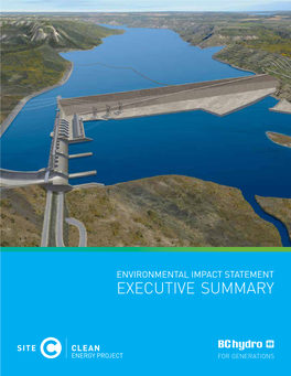 Environmental Impact Statement Executive Summary Table of Contents