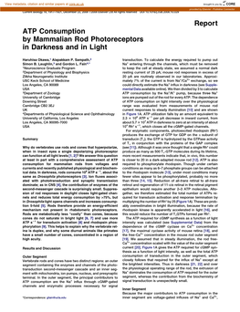 ATP Consumption by Mammalian Rod Photoreceptors in Darkness and in Light