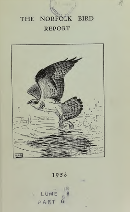 Norfolk Bird Report 195 6