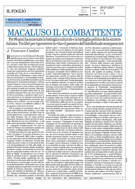 Macaluso Il Combattente