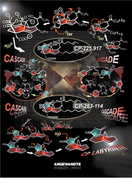 A Paradigm of How Endeavors in Total Synthesis Lead to Discoveries and Inventions in Organic Synthesis