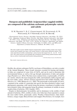 Sturgeon and Paddlefish (Acipenseridae) Saggital Otoliths Are Composed of the Calcium Carbonate Polymorphs Vaterite and Calcite