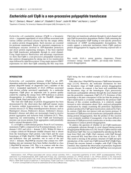 Escherichia Coli Clpb Is a Non-Processive Polypeptide Translocase Tao Li*, Clarissa L