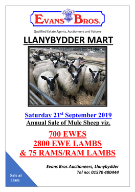 Llanybydder Mart