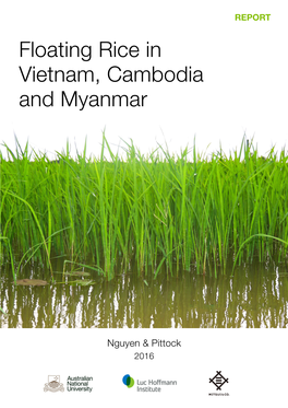 Floating Rice in Vietnam, Cambodia and Myanmar