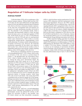 Regulation of T Follicular Helper Cells by ICOS