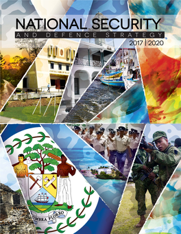 Nationalsecurityanddefencestrate