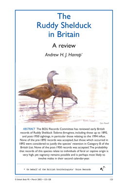 The Ruddy Shelduck in Britain a Review Andrew H