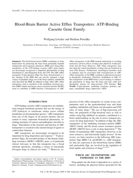 Blood-Brain Barrier Active Efflux Transporters