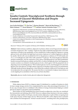 Insulin Controls Triacylglycerol Synthesis Through Control of Glycerol Metabolism and Despite Increased Lipogenesis