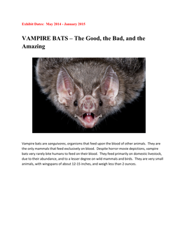 VAMPIRE BATS – the Good, the Bad, and the Amazing