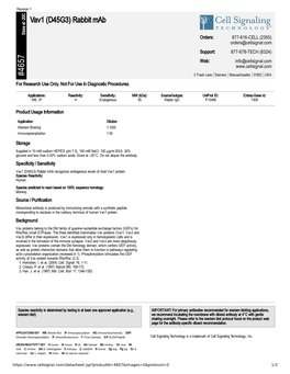 Vav1 (D45G3) Rabbit Mab A
