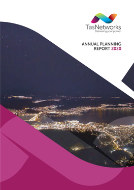 Annual Planning Report 2020