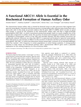 A Functional ABCC11 Allele Is Essential in the Biochemical
