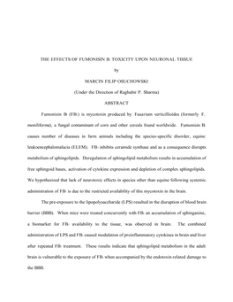 The Effects of Fumonisin B1 Toxicity Upon Neuronal Tissue